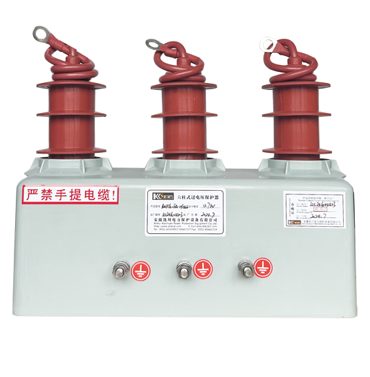 BWKG六柱式過電壓保護器